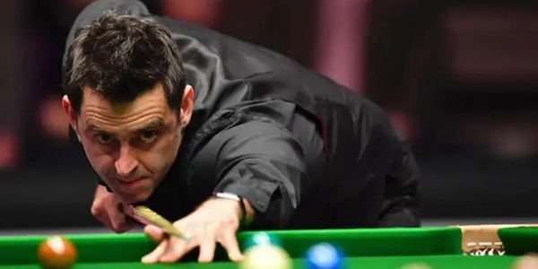 的多样性和 的多样性和