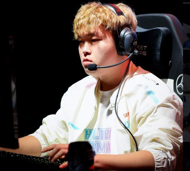 变虽未必意 变虽未必意